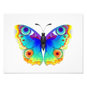 Foto Mariposa Pavo Real Ojo de Arcoíris