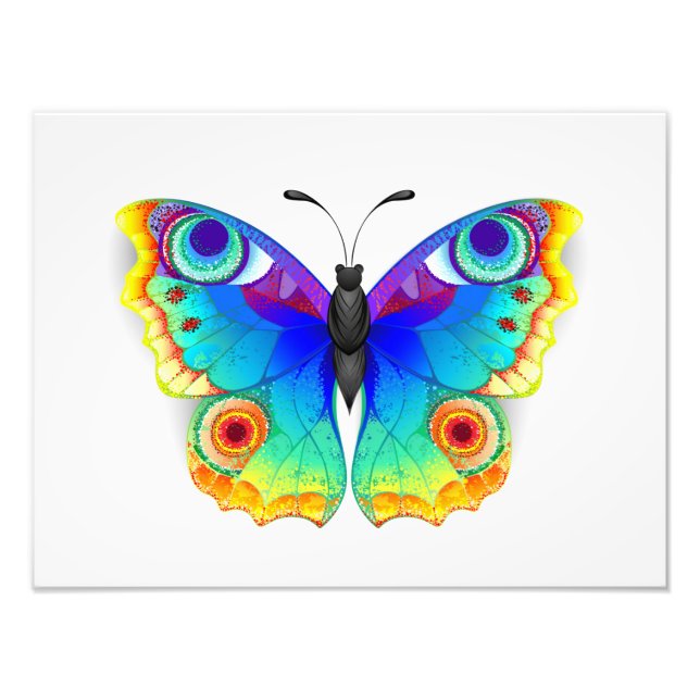 Foto Mariposa Pavo Real Ojo de Arcoíris (Frente)