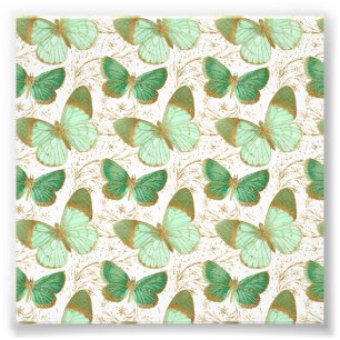 Foto Mariposa Verde Flor Blanca Flor en Flor