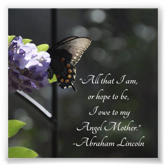Foto Mariposa y flores a mi madre Lincoln (Frente)