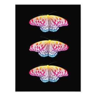 Foto Mariposas de color arcoiris