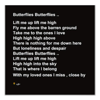 FOTO MARIPOSAS DE MARIPOSAS (OPCIÓN 2)