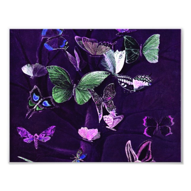 Foto Mariposas En Púrpura (Frente)