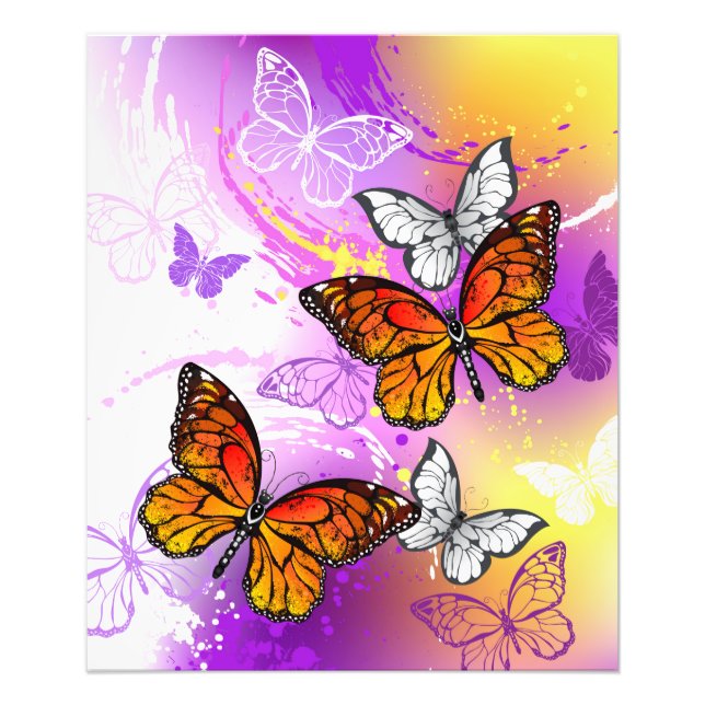 Foto Mariposas Monarca sobre Fondo Púrpura (Frente)