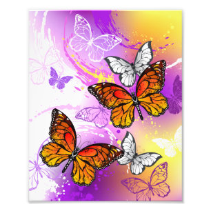 Foto Mariposas monarcas en fondo morado
