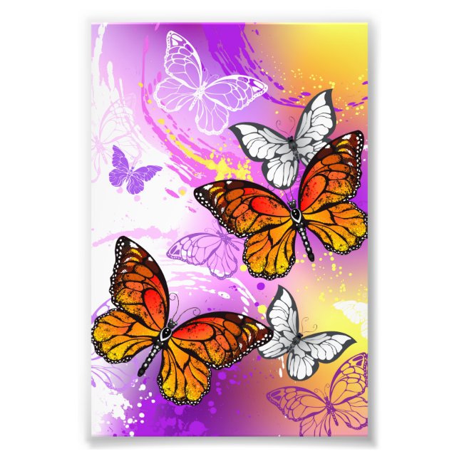 Foto Mariposas monarcas en fondo morado (Frente)