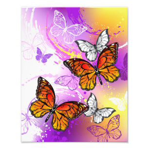 Foto Mariposas monarcas en fondo morado
