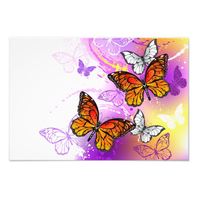 Foto Mariposas monarcas en fondo morado (Frente)