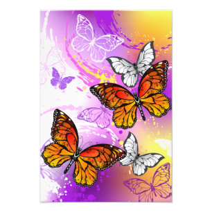 Foto Mariposas monarcas en fondo morado