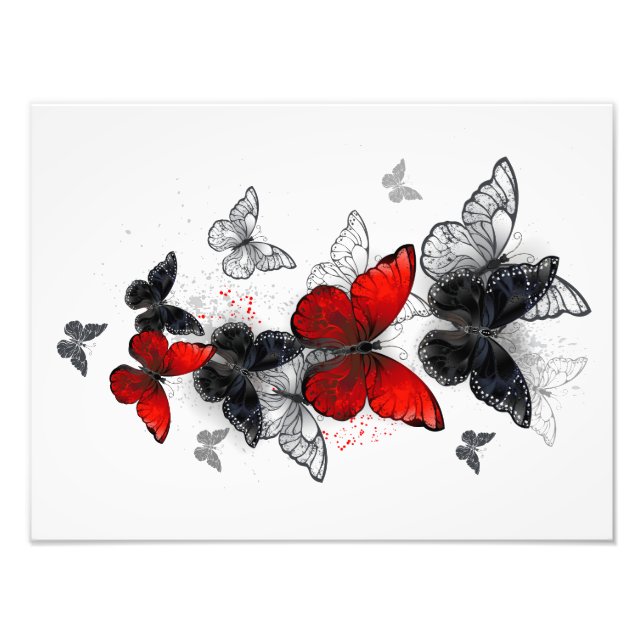 Foto Mariposas Morfo Negras y Rojas Volando (Frente)
