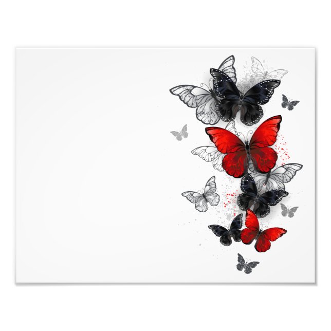 Foto Mariposas Morfo Negras y Rojas Volando (Frente)