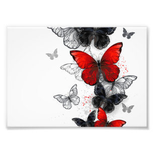 Foto Mariposas Morpho voladoras negras y rojas