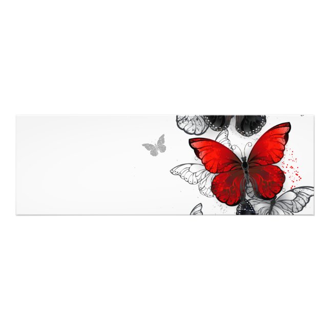 Foto Mariposas Morpho voladoras negras y rojas (Frente)