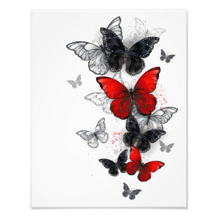 Foto Mariposas Morpho voladoras negras y rojas