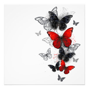 Foto Mariposas Morpho voladoras negras y rojas