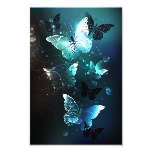 Foto Mariposas nocturnas (Frente)