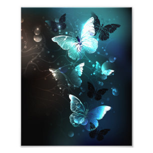 Foto Mariposas nocturnas