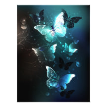 Mariposas nocturnas