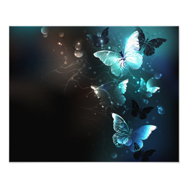 Foto Mariposas nocturnas (Frente)