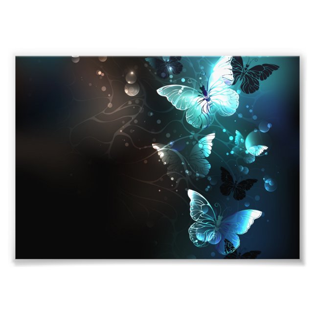 Foto Mariposas nocturnas (Frente)