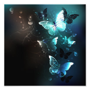Foto Mariposas nocturnas