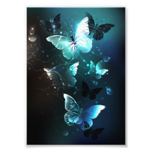 Foto Mariposas nocturnas