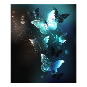 Foto Mariposas nocturnas