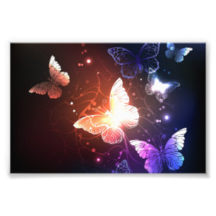 Foto Mariposas nocturnas brillantes