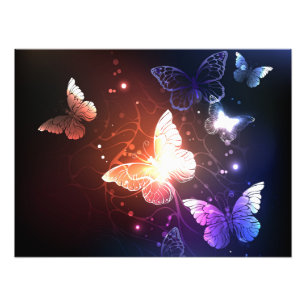 Foto Mariposas nocturnas brillantes