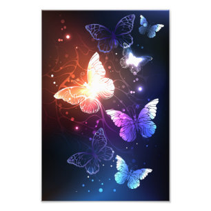 Foto Mariposas nocturnas brillantes