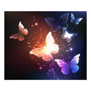 Foto Mariposas nocturnas brillantes