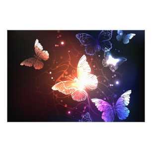 Foto Mariposas nocturnas brillantes