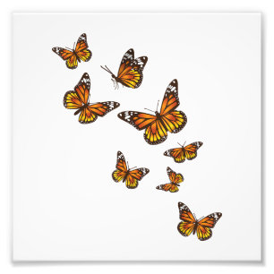Foto Mariposas voladoras - Butterfly Lover Gardener Ent