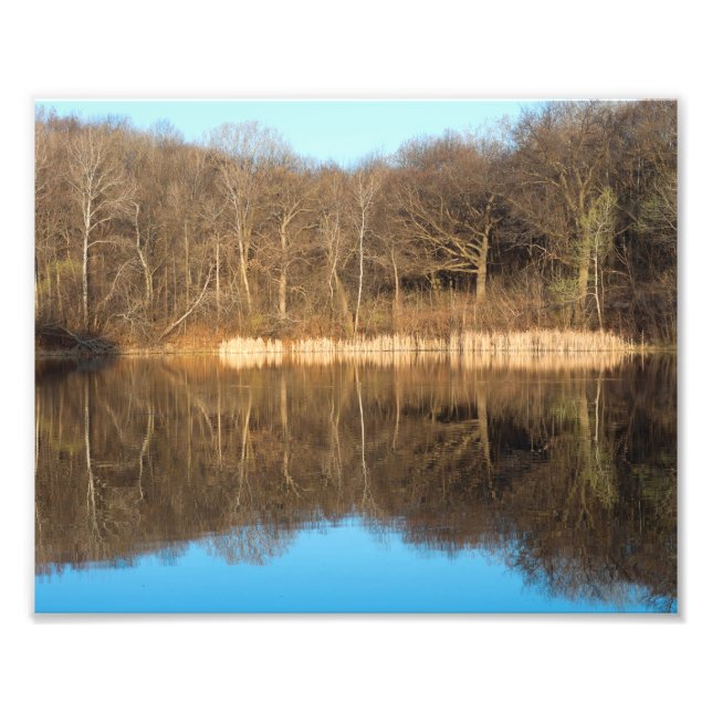 Foto Marthaler Park y Pond Morning Glow (Frente)