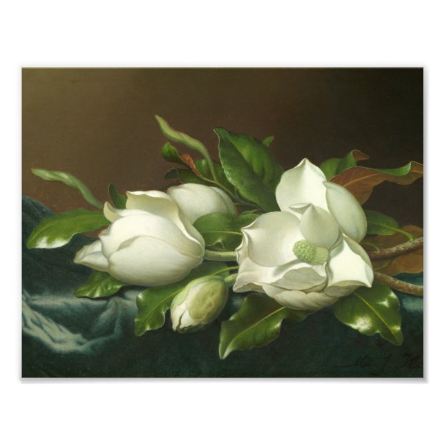 Foto Martin Johnson Heade - Magnolias en azul claro (Frente)