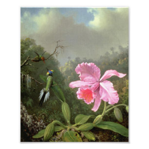 Foto Martin Johnson Heade Orchid Y Hummingbirds