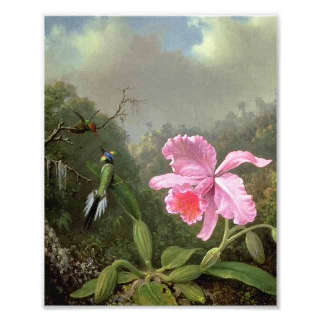 Foto Martin Johnson Heade Orchid Y Hummingbirds (Frente)
