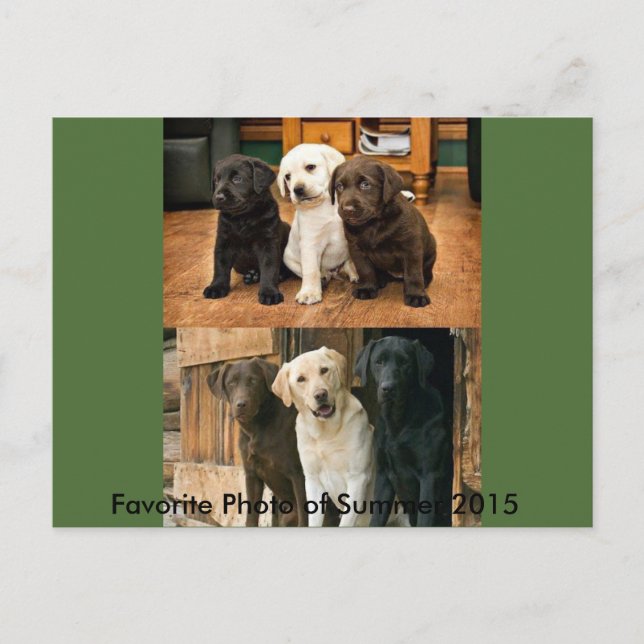 Foto más favorita de 2015: postal (Anverso)