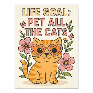 Foto Mascota caprichoso todos los gatos