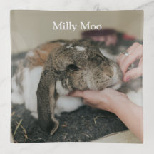 Foto Mascota personalizada