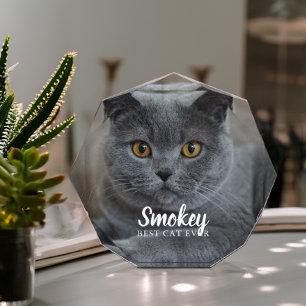 Foto mascota personalizada