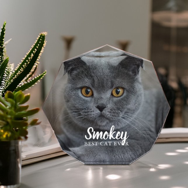 Foto mascota personalizada (Subido por el creador)