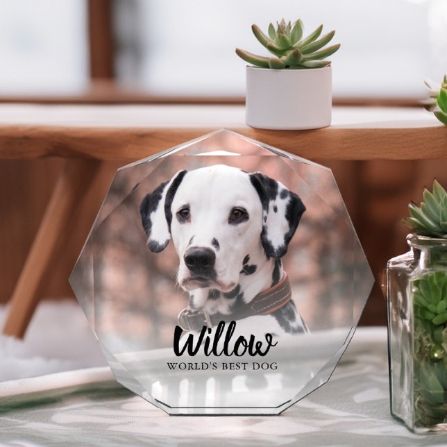 Foto mascota personalizada (Subido por el creador)