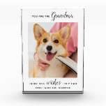 Foto Mascota personalizada de la abuela del perro<br><div class="desc">¡Feliz cumpleaños a la mejor abuela del perro de todos los tiempos! ¡Dale a la abuela una linda y graciosa placa fotográfica personalizada de su mejor nieto, el perro! "Eres la Abuela, todos los deseos de los perros que tenían" Personaliza con tu mensaje especial, el nombre del perro y su...</div>