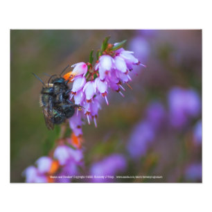 Foto Mason y Heather