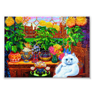 Foto Master de Cat College