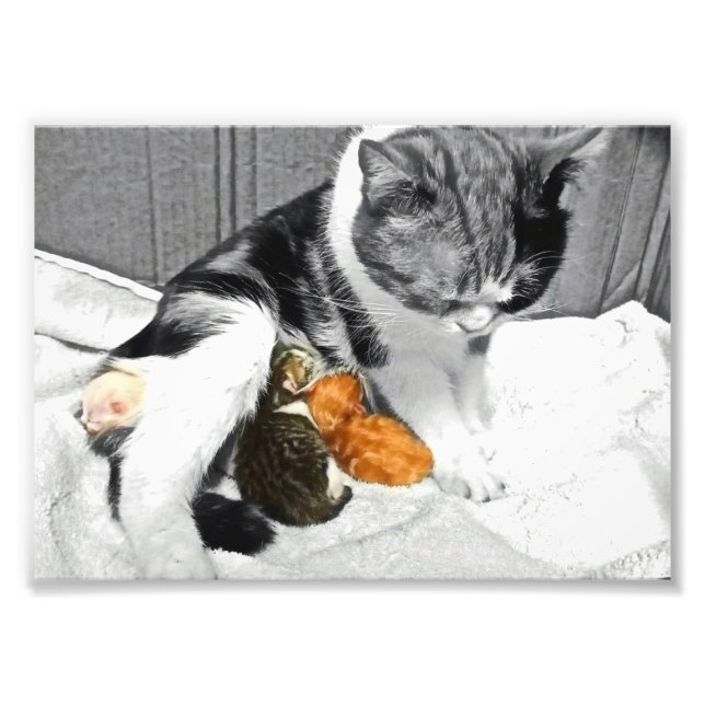 Foto Maternidad (Frente)