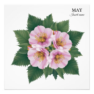 Foto May Birday Hawthorn Bloom: Floral personalizada