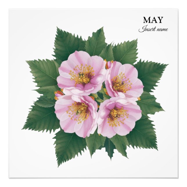 Foto May Birday Hawthorn Bloom: Floral personalizada (Frente)