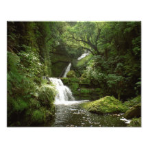 McLean Falls South Island New Zealand